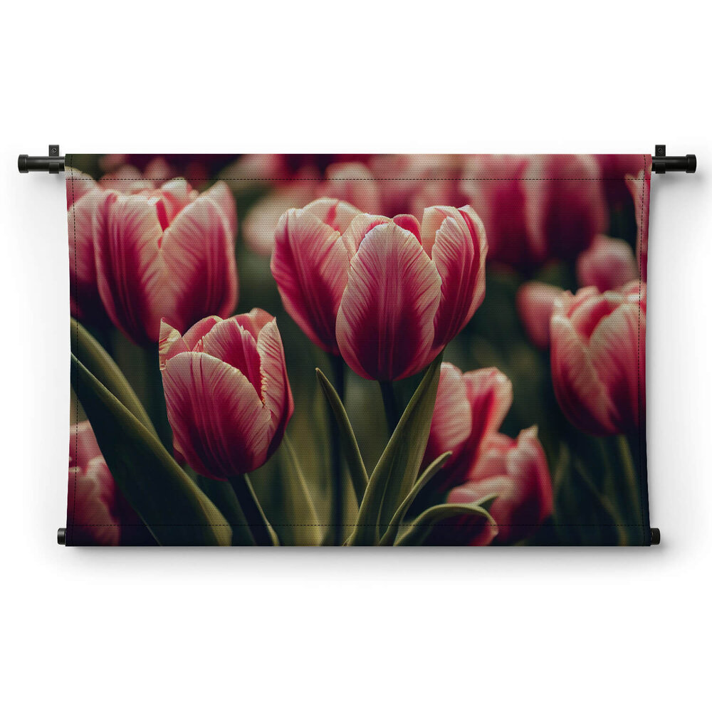 Romantiek van de roze tulpen