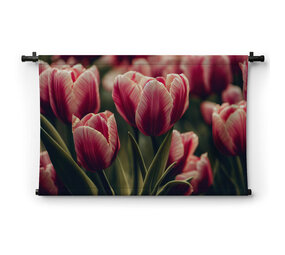 Romantiek van de roze tulpen