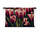 Romantiek van de roze tulpen