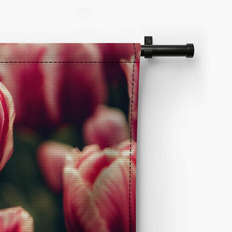 Romantiek van de roze tulpen