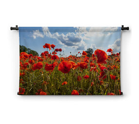 Veld vol klaprozen
