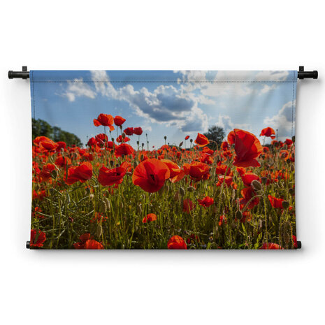 Veld vol klaprozen