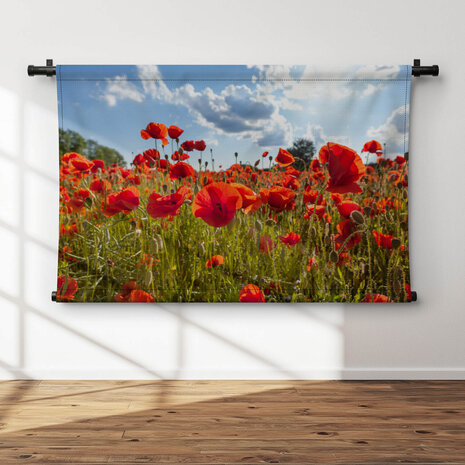 Veld vol klaprozen