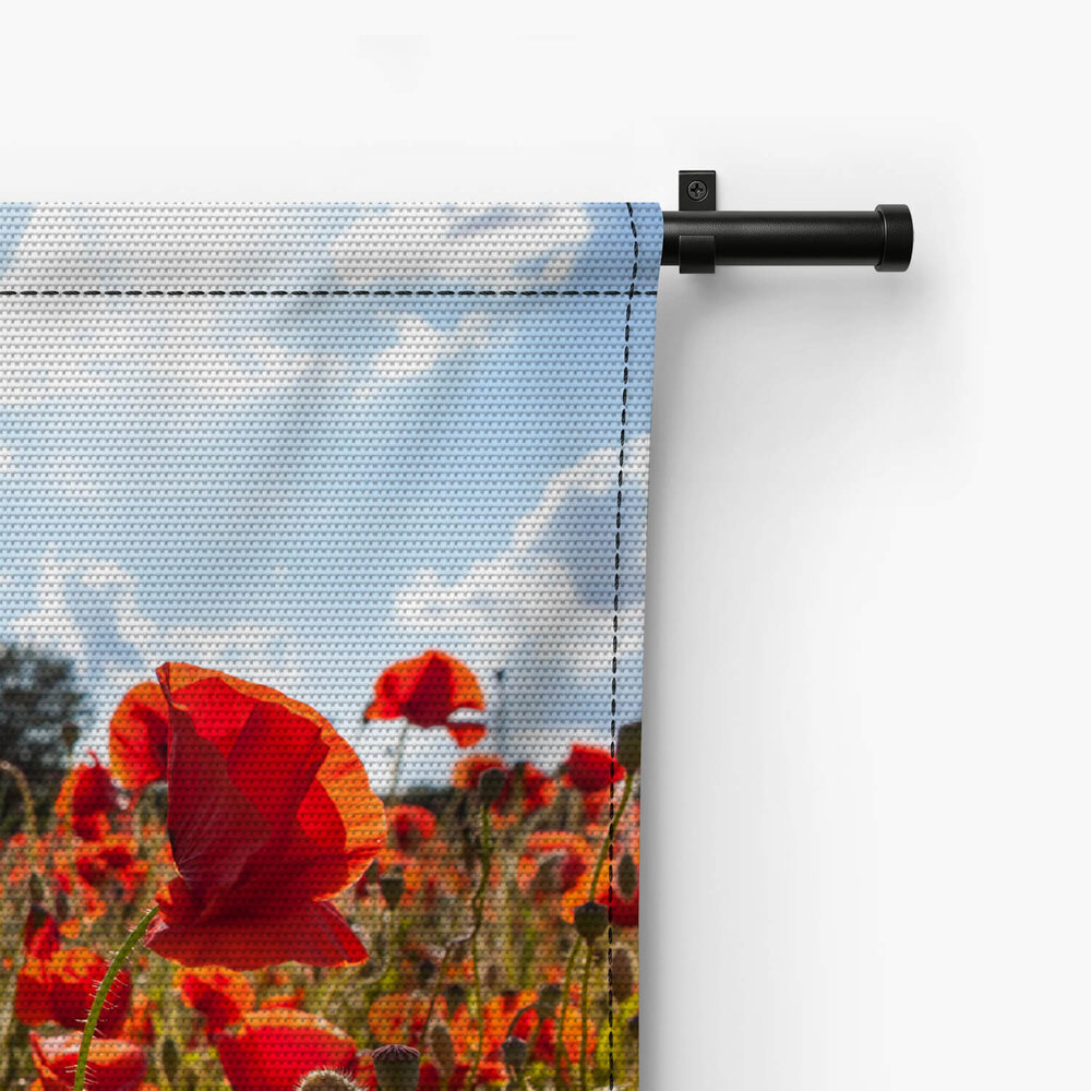 Veld vol klaprozen