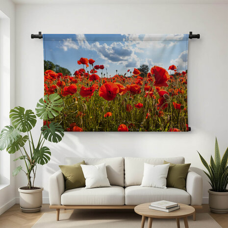 Veld vol klaprozen