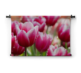 Roze tulpen in ochtenddauw