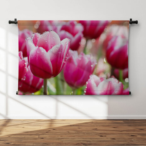 Roze tulpen in ochtenddauw