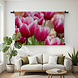 Roze tulpen in ochtenddauw