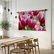 Roze tulpen in ochtenddauw