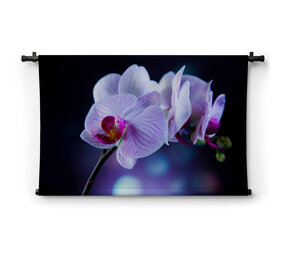 Fragiele lila orchidee