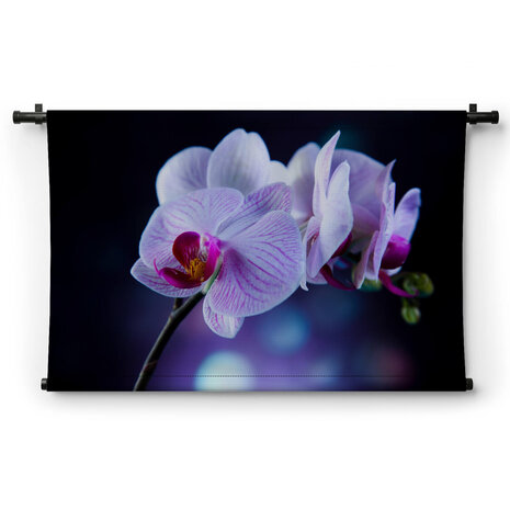 Fragiele lila orchidee