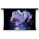 Fragiele lila orchidee