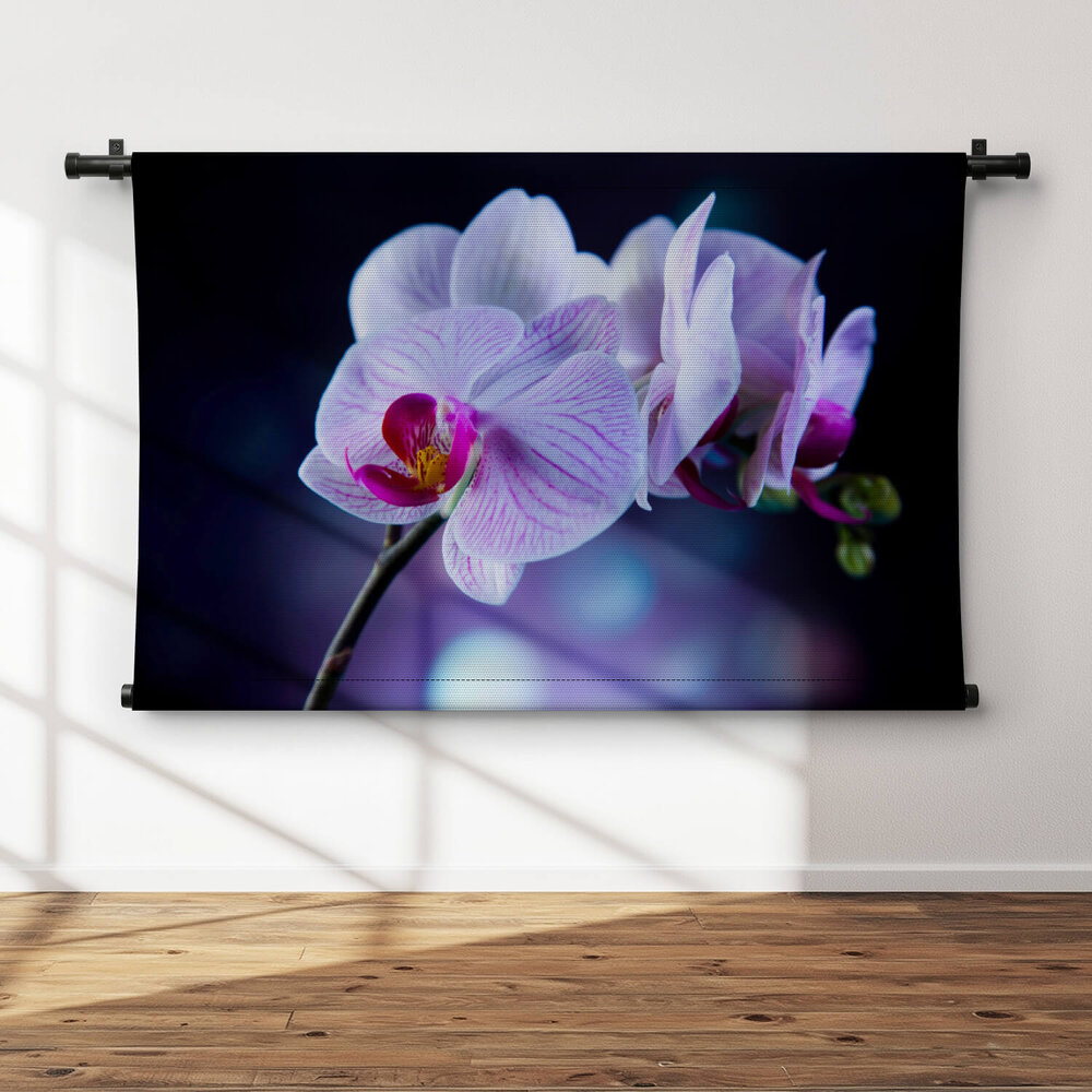Fragiele lila orchidee
