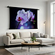 Fragiele lila orchidee