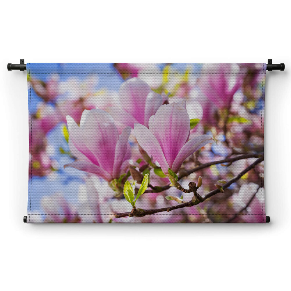 Magnolia in lentezon