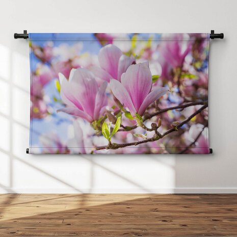 Magnolia in lentezon