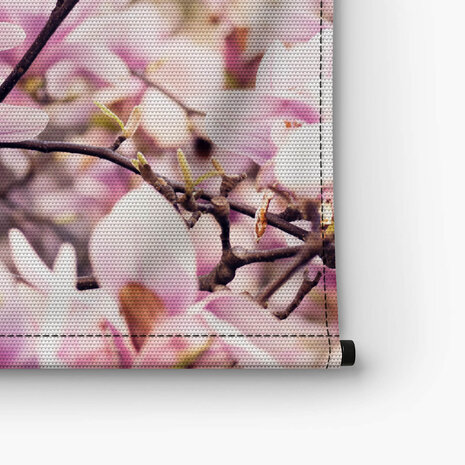 Takken vol bloeiende magnolia