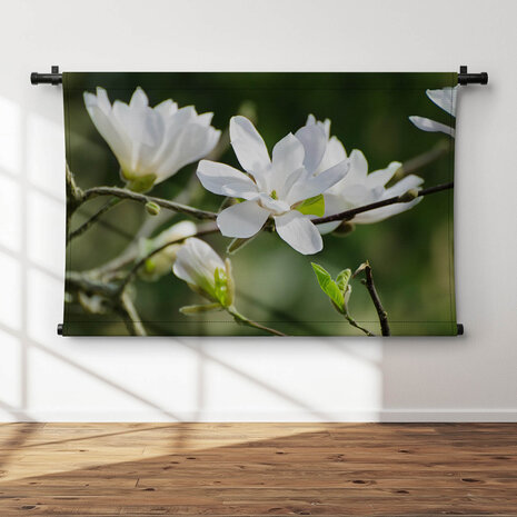 Witte magnoliabloemen