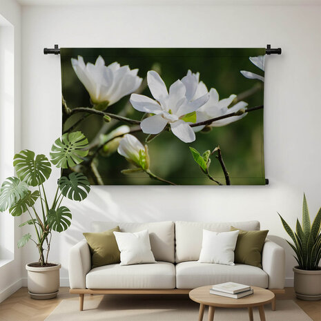 Witte magnoliabloemen