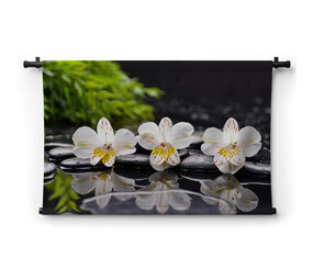 Orchideeën weerspiegelend in water