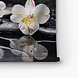 Orchideeën weerspiegelend in water