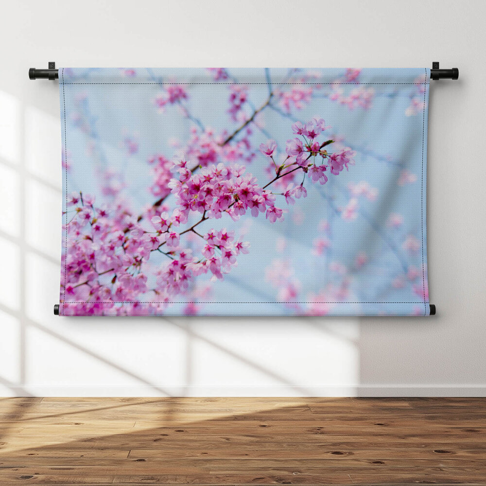 Japanse kersenbloesems