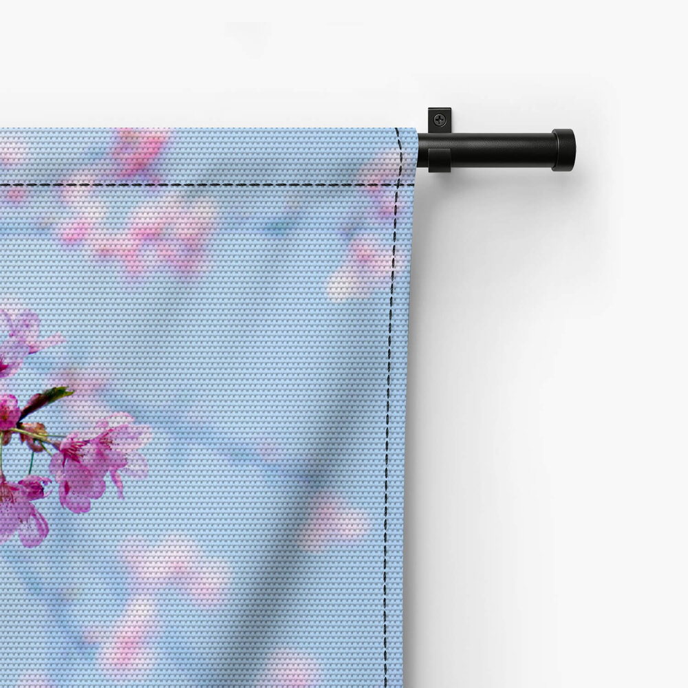 Japanse kersenbloesems