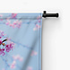 Japanse kersenbloesems