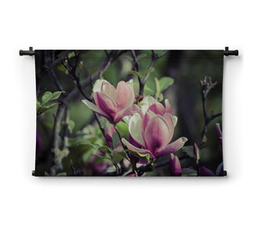 Twee ontluikende bloemen magnolia