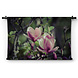 Twee ontluikende bloemen magnolia