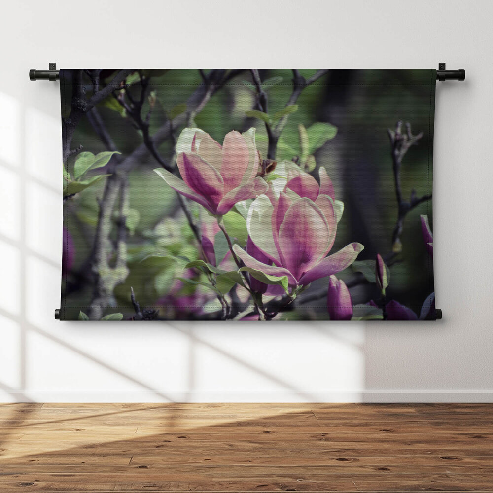 Twee ontluikende bloemen magnolia