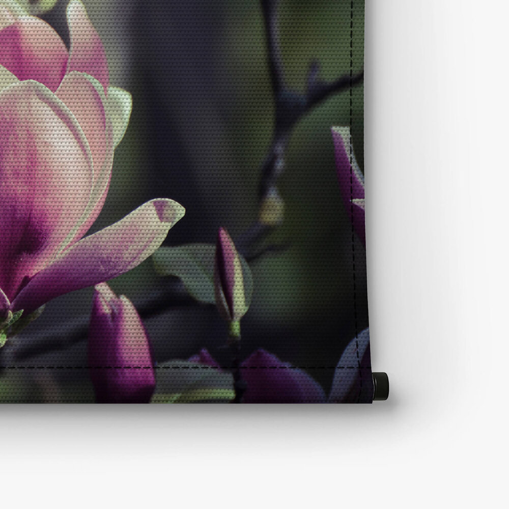 Twee ontluikende bloemen magnolia