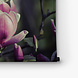 Twee ontluikende bloemen magnolia