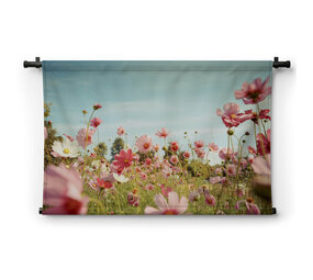 Cosmos bloemen in tuin