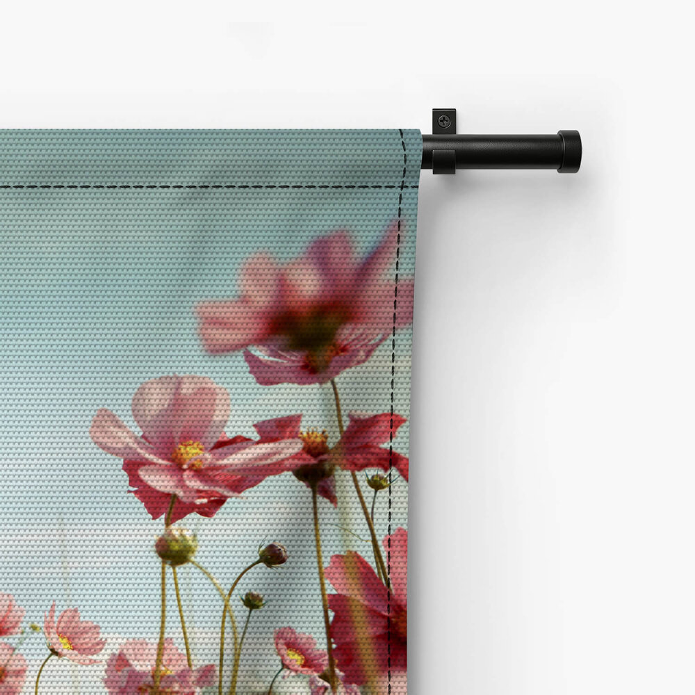 Cosmos bloemen in tuin