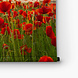 Frivool veld vol klaprozen