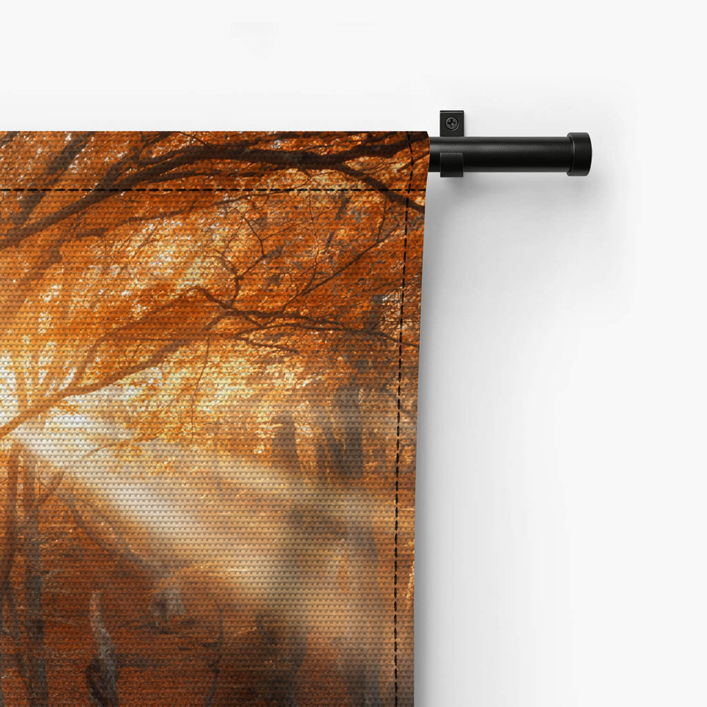 Magische oude boom met zonnestralen in de ochtend