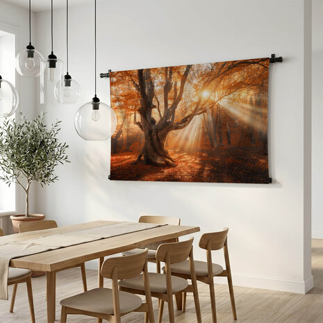 Magische oude boom met zonnestralen in de ochtend