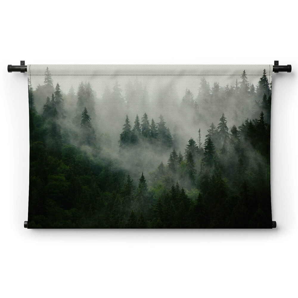 Mistig landschap met sparrenbos