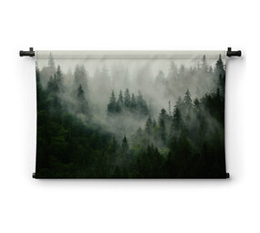 Mistig landschap met sparrenbos