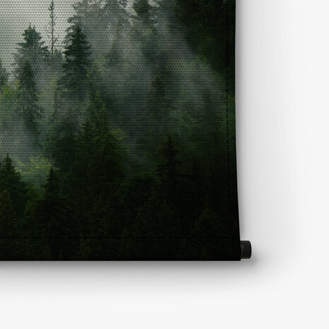 Mistig landschap met sparrenbos