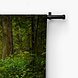 Schilderachtige route door het bos