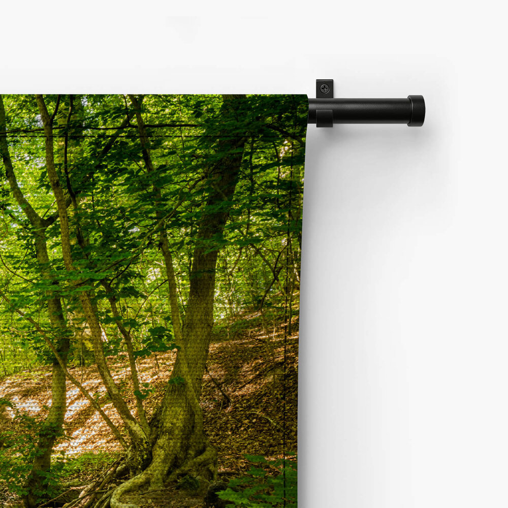 Bruggetje in het bos