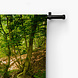 Bruggetje in het bos