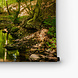 Bruggetje in het bos
