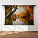 Herfst bij de rivier in het bos