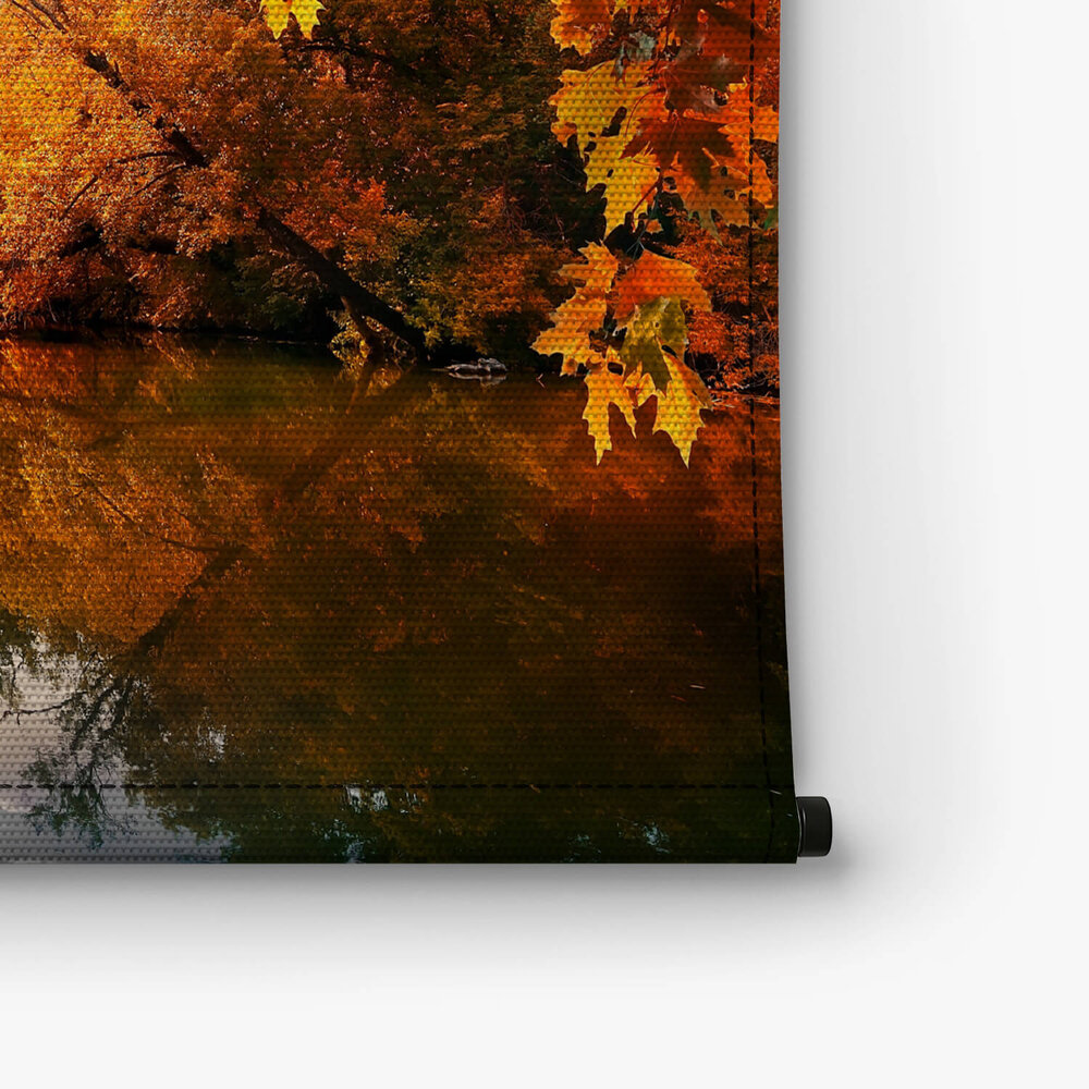 Herfst bij de rivier in het bos