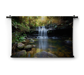 Waterval en oase in het bos