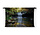 Waterval en oase in het bos