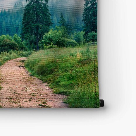 Wandelpad in mistige ochtendzon in Roemenië